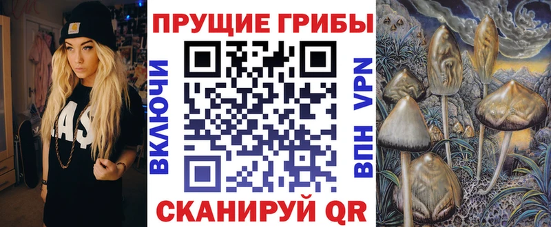 Псилоцибиновые грибы GOLDEN TEACHER  Купить где  Белебей 